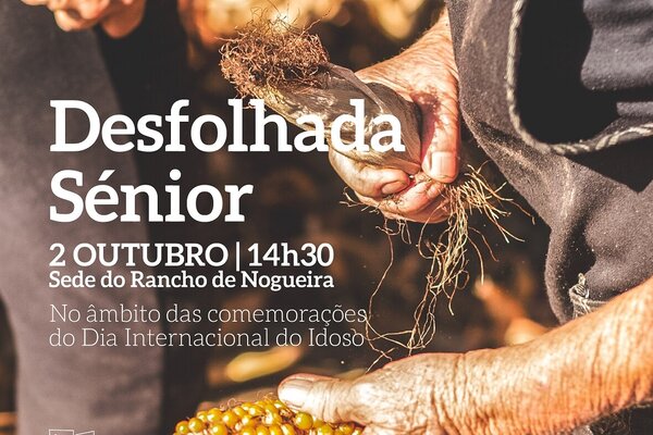 desfolhada_senior