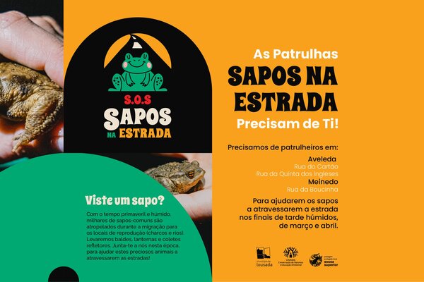 imagemsite___saposnaestrada