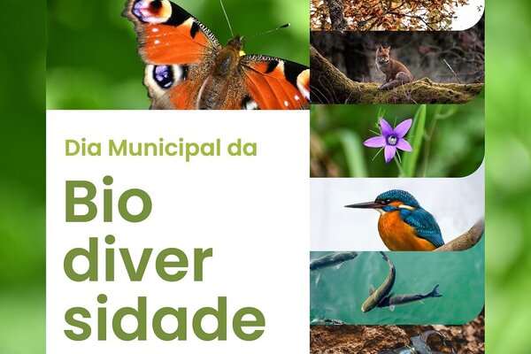 dia_da_biodiverdidade