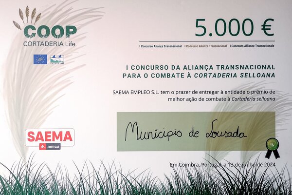 concurso_alianca_transacional