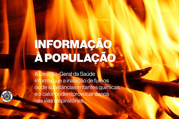 incendiosflorestais_site