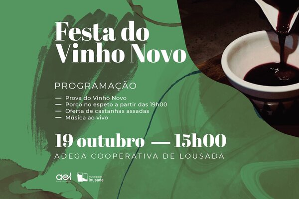 2024_festadovinhonovo_site