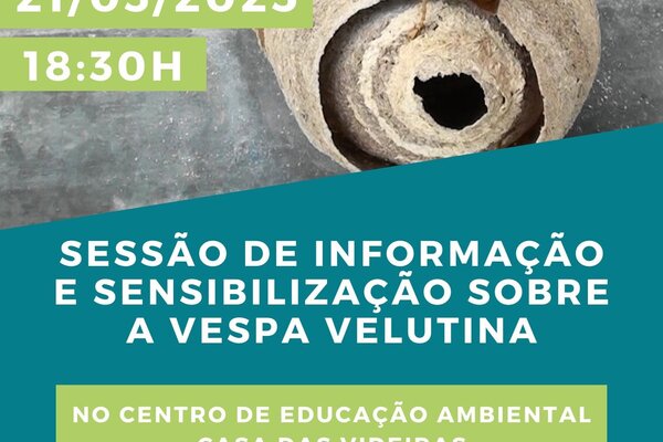 palestra_vespa_velutina