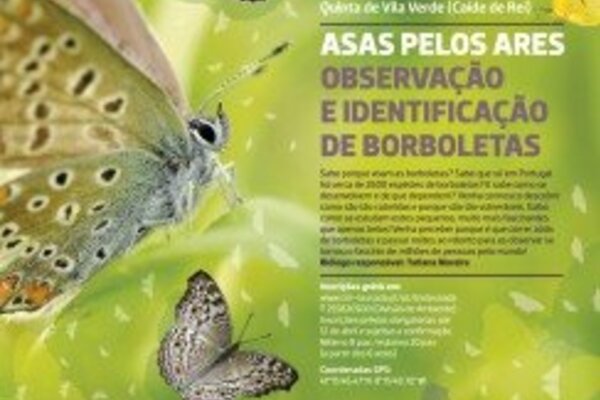 2623_pos