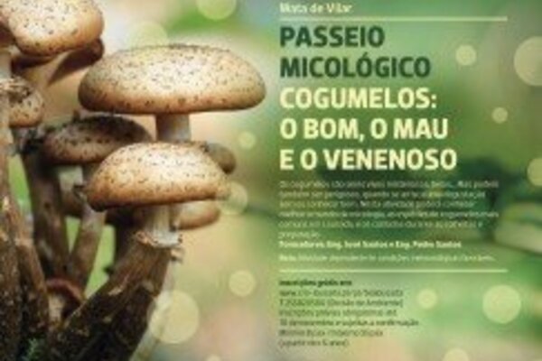2895_pos