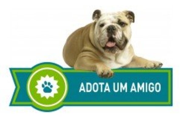 679_pos