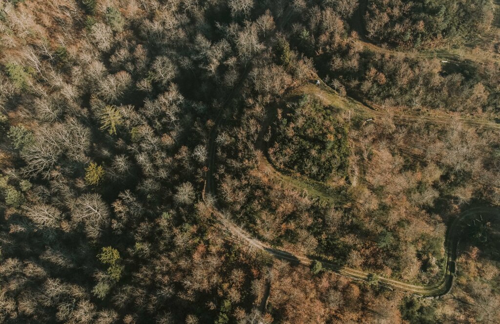 dji_0589