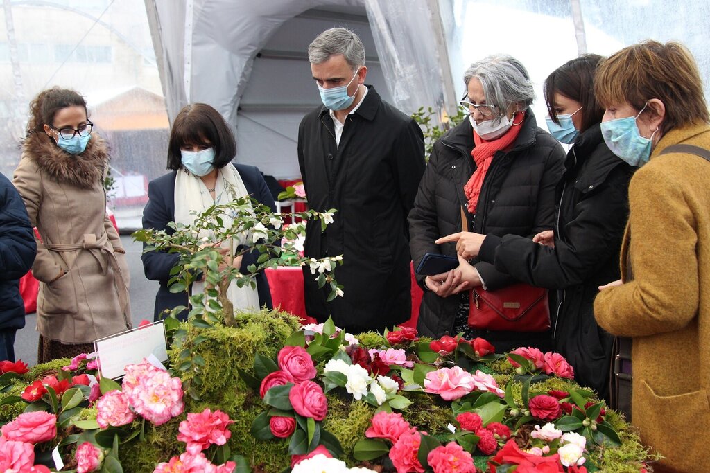 festival_de_camelias2