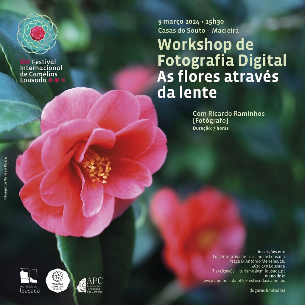2023_festival_camelias_workshop_fotografia_2