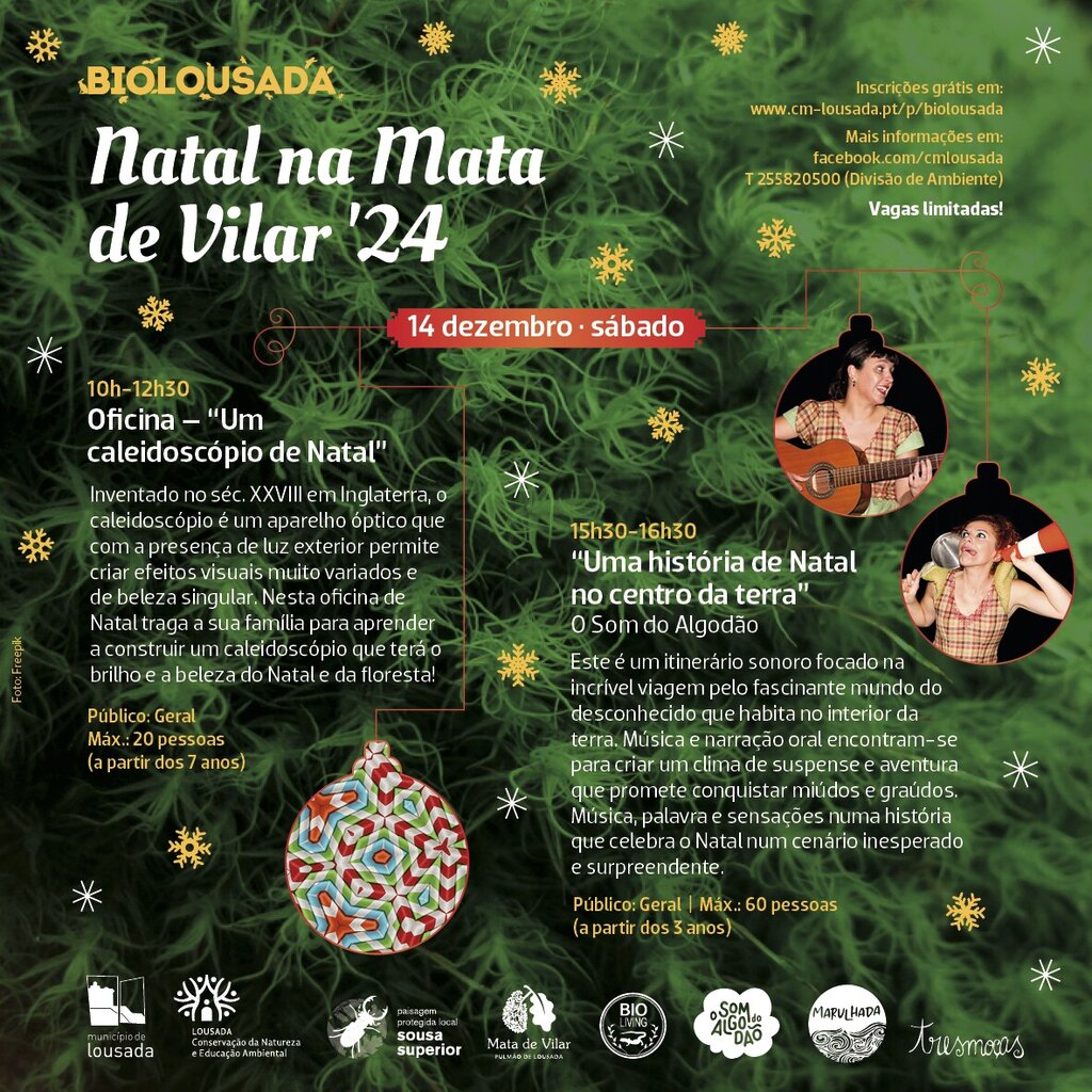 2024_12_14_biolousada_web
