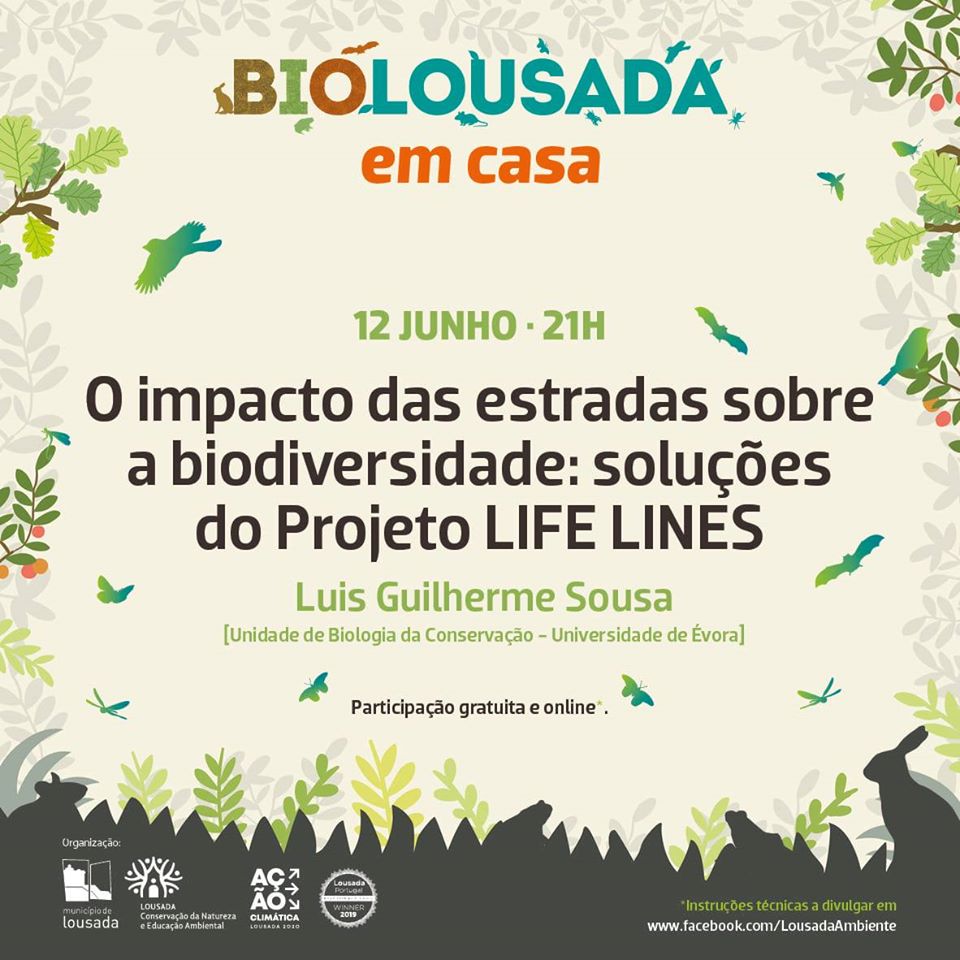 BioLousada em casa "O impacto das estradas sobre a biodiversidade: Soluções do projeto LIFE LINES"