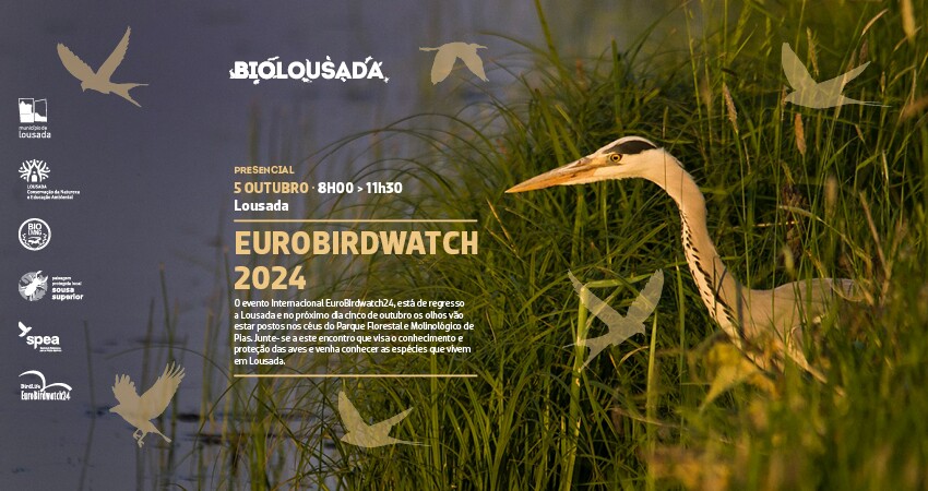 BioLousada: EurobirdWatch 2024