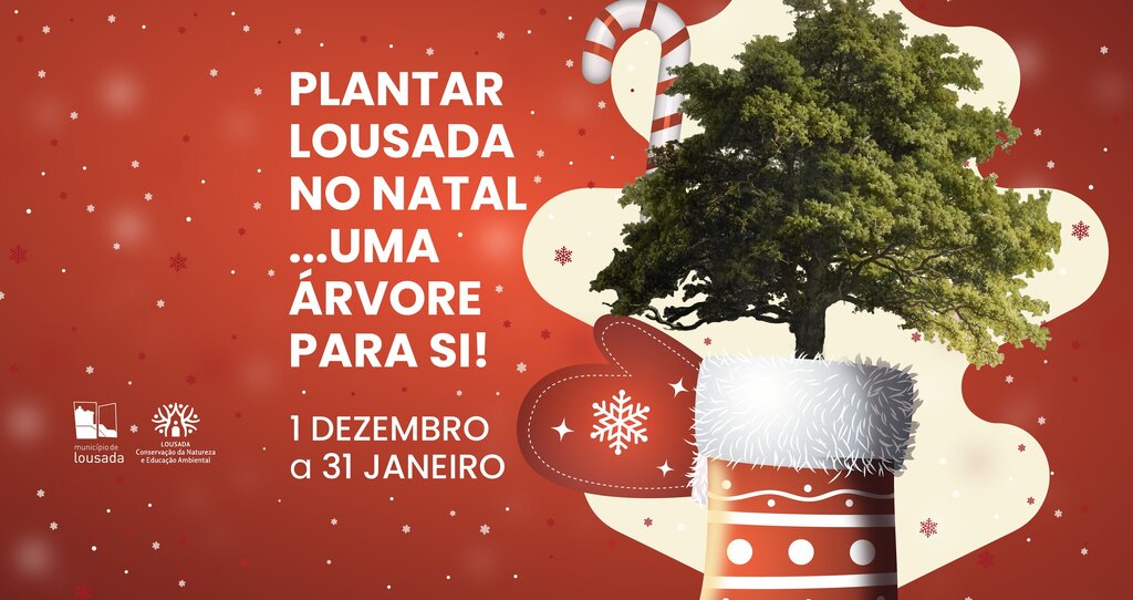 Plantar Lousada no Natal