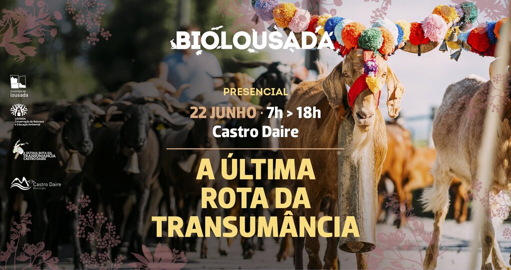 BioLousada - A última rota da transumância 