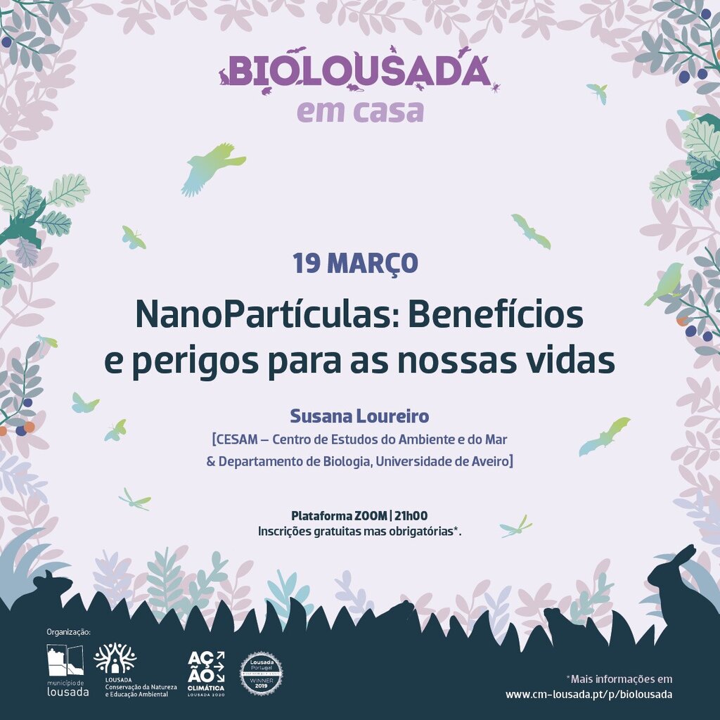 BioLousada em Casa: Nanopartículas: Benefícios e Perigos para as nossas vidas.