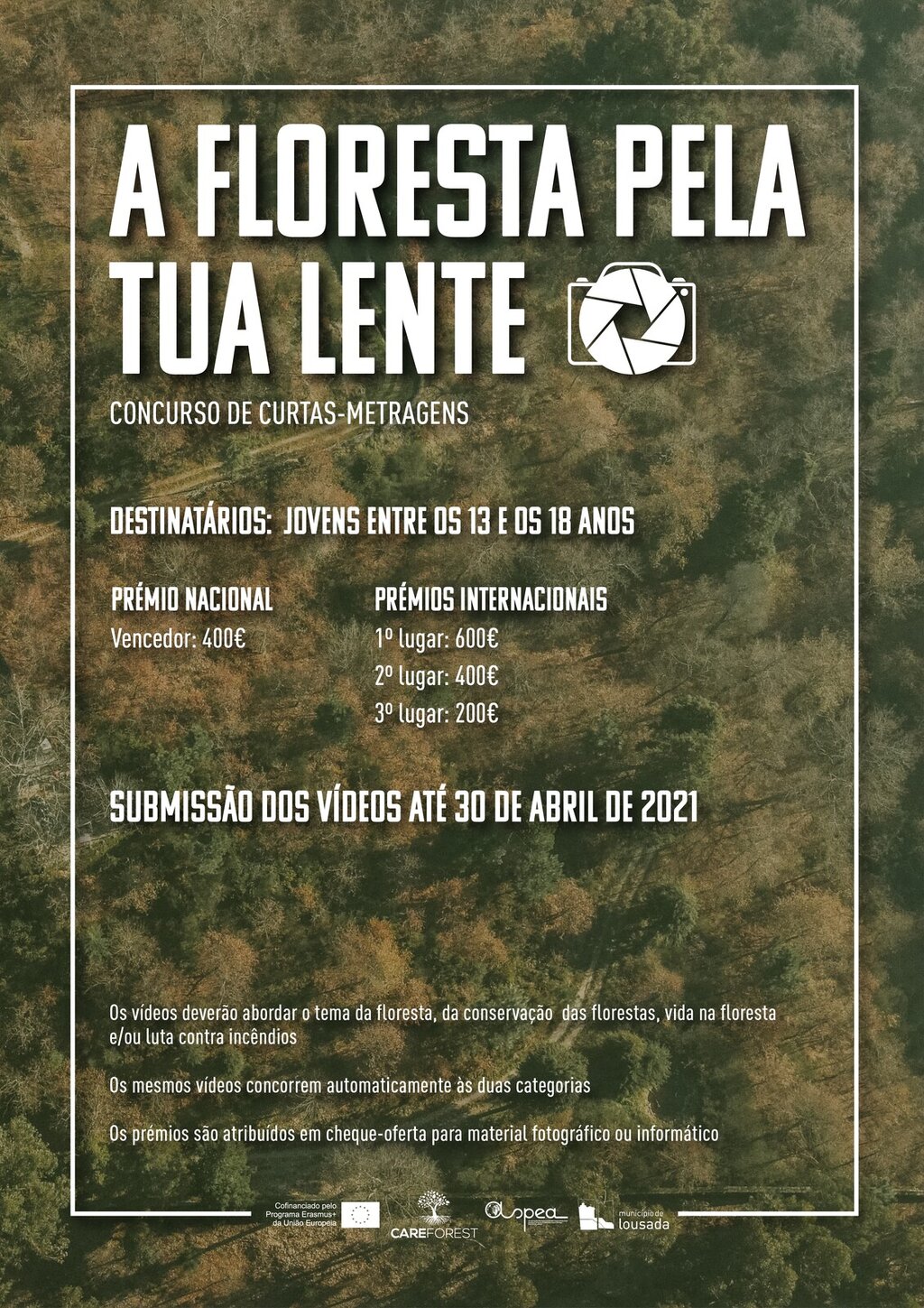 A Floresta pela tua lente