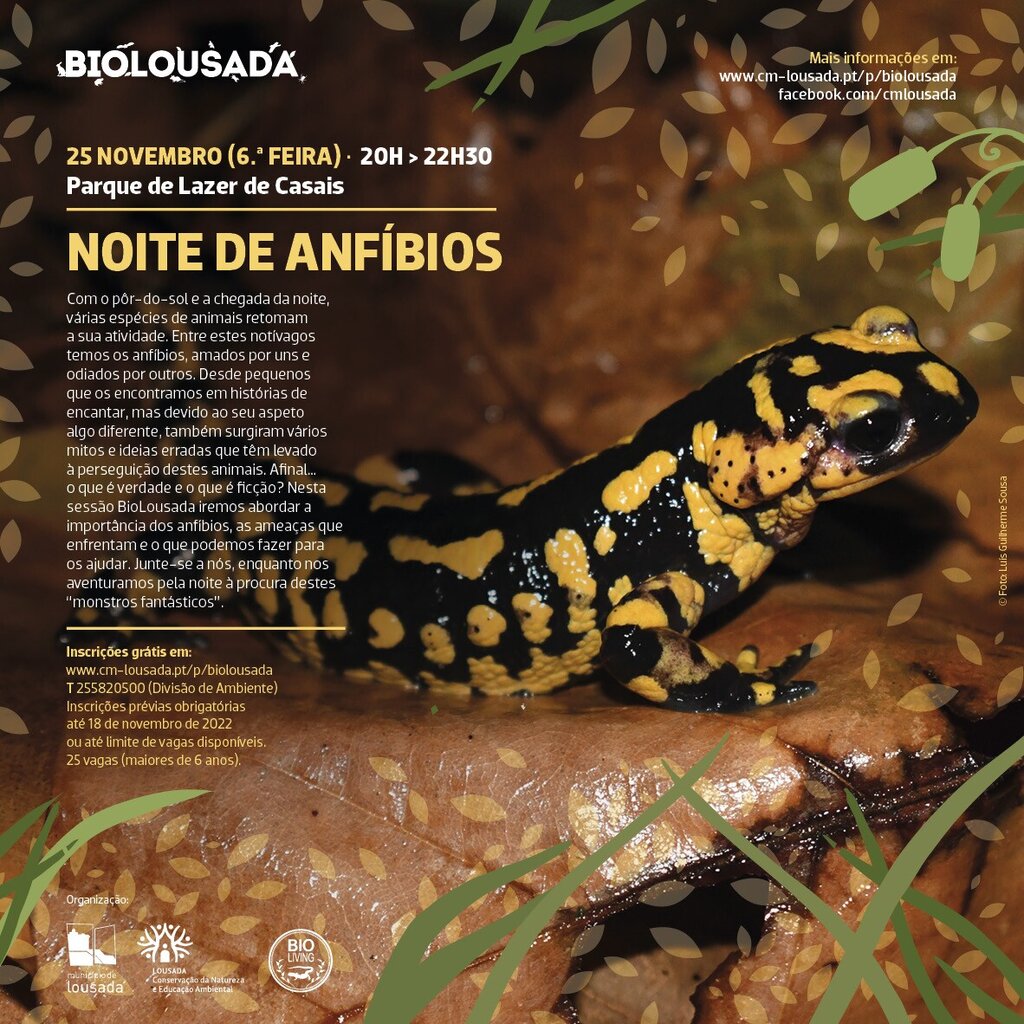 BioLousada - Noite de Anfíbios