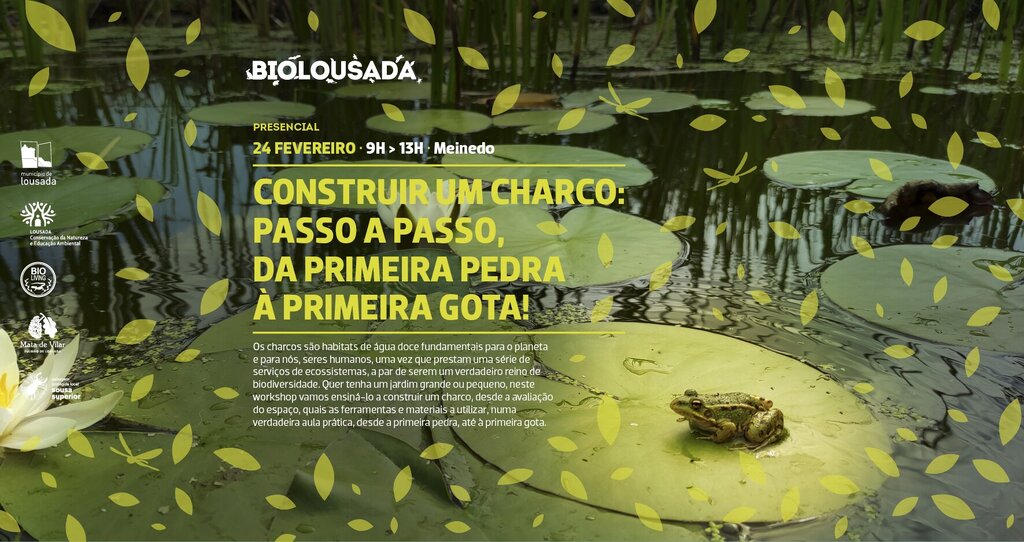 BioLousada - Construir um charco