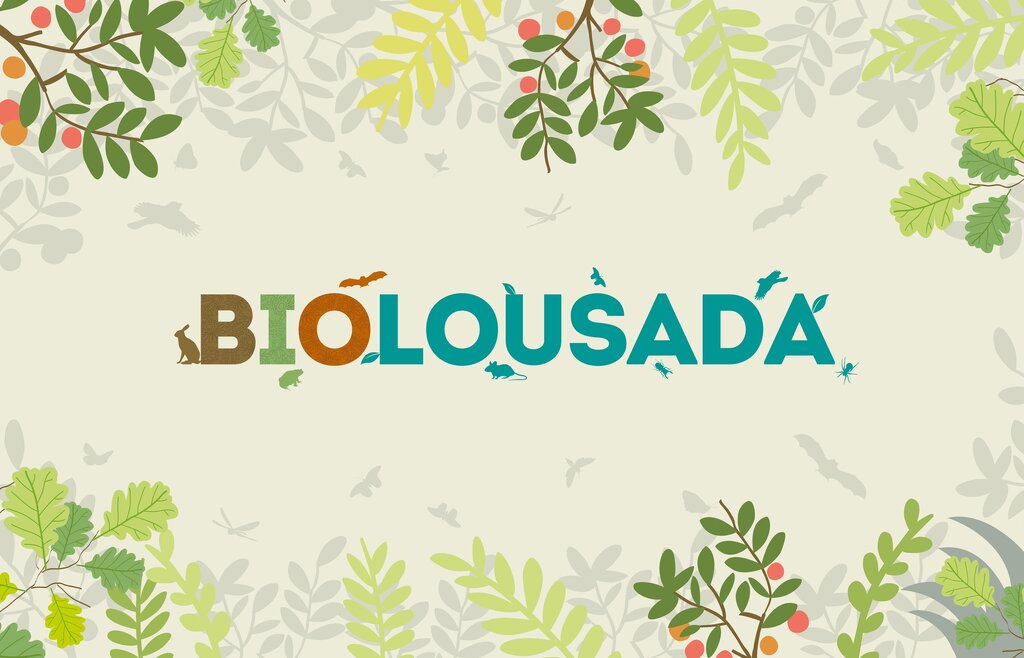 BioLousada em Casa "Ser (quase) um especialista em insetos"