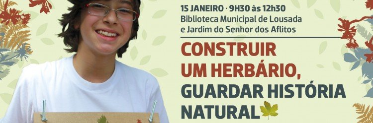 Atividades para construir herbário no domingo