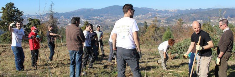 Plantar Lousada juntou voluntários na Mata de Vilar