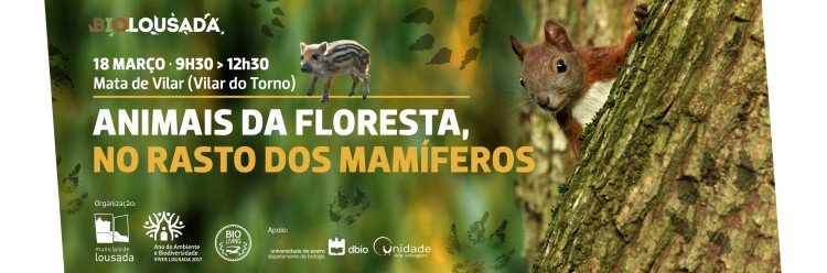 “Animais da Floresta - No rasto dos mamíferos” no sábado