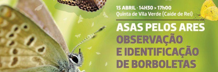 Asas pelos Ares na Quinta de Vila Verde