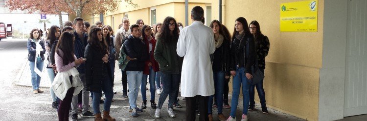 “Férias Ativas” para jovens do 10.º ano