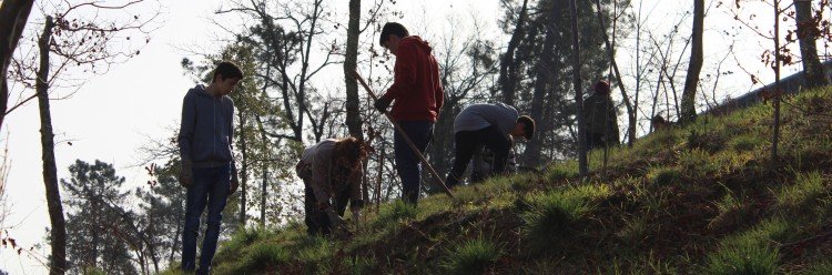 Mata de Vilar acolhe Campo de Voluntariado Internacional ‘EcoVilar’