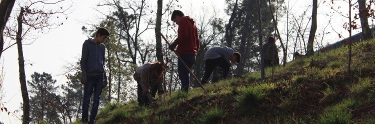 Campo de Voluntariado Internacional 'EcoVilar'