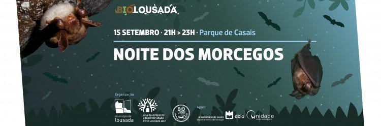 Noite dos Morcegos na sexta-feira
