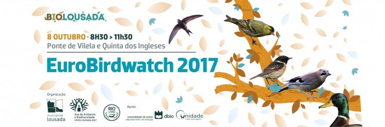 Eurobirdwatch no domingo durante a manhã