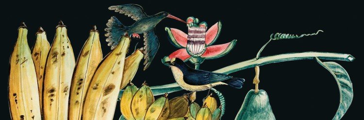 Exposições e atividades na Biblioteca