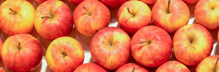 Fruta vai à escola para alunos do 1.º ciclo