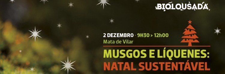 Conhecer musgos e líquenes na Mata de Vilar