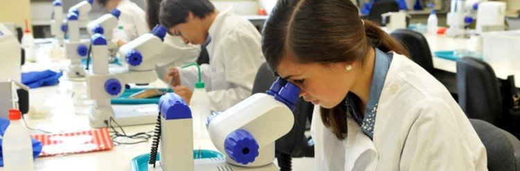 Alunos de Lousada na Universidade Júnior durante esta semana