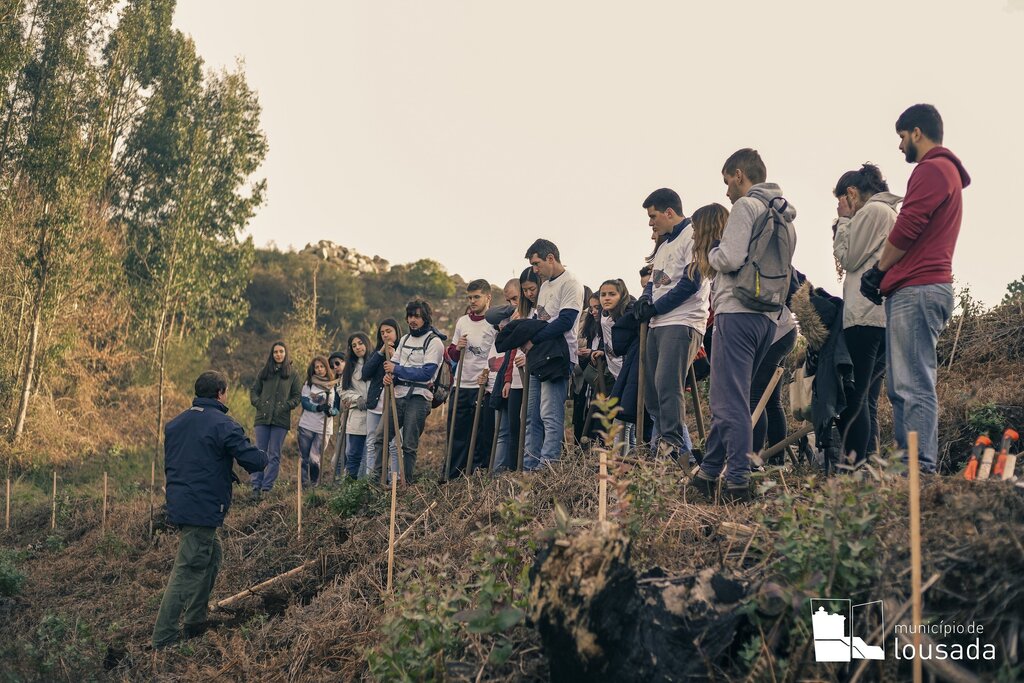 Mais de 55 mil árvores plantadas em Lousada