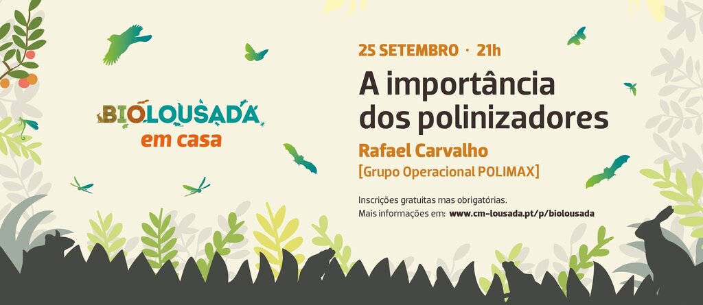 “A importância dos polinizadores” no BioLousada em Casa