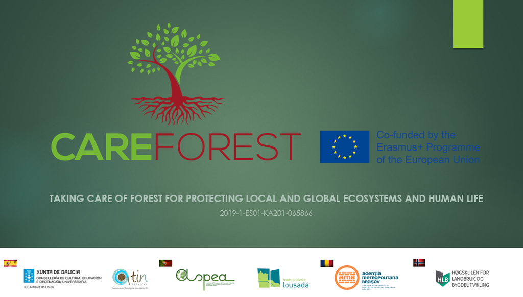 Projeto internacional CareForest junta países europeus