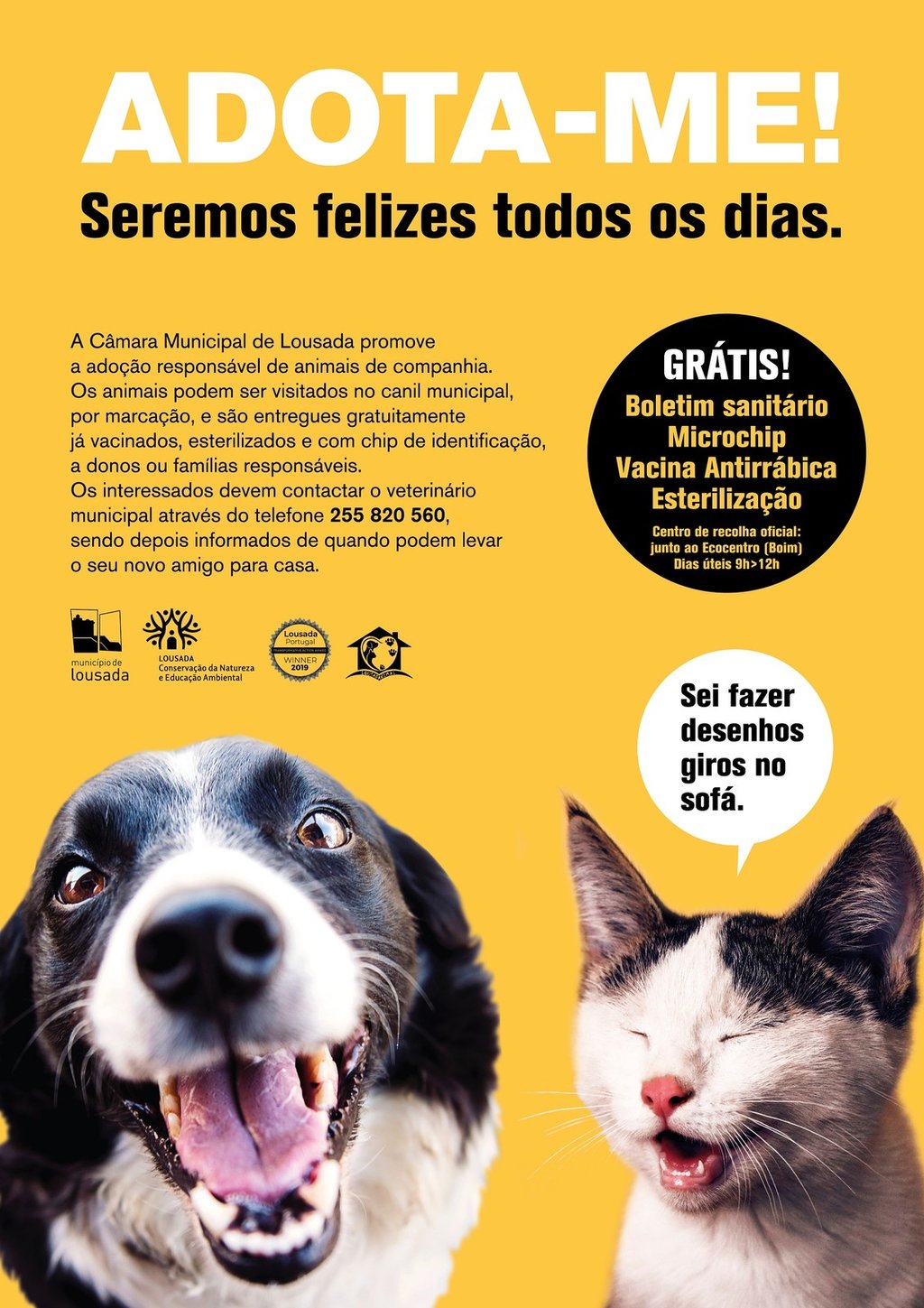 Município continua a promover campanha de adoção de animais