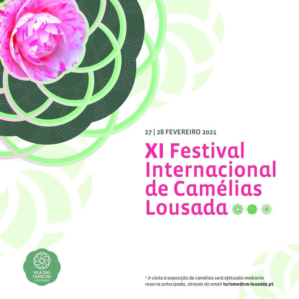 XI Festival Internacional de Camélias no sábado e domingo