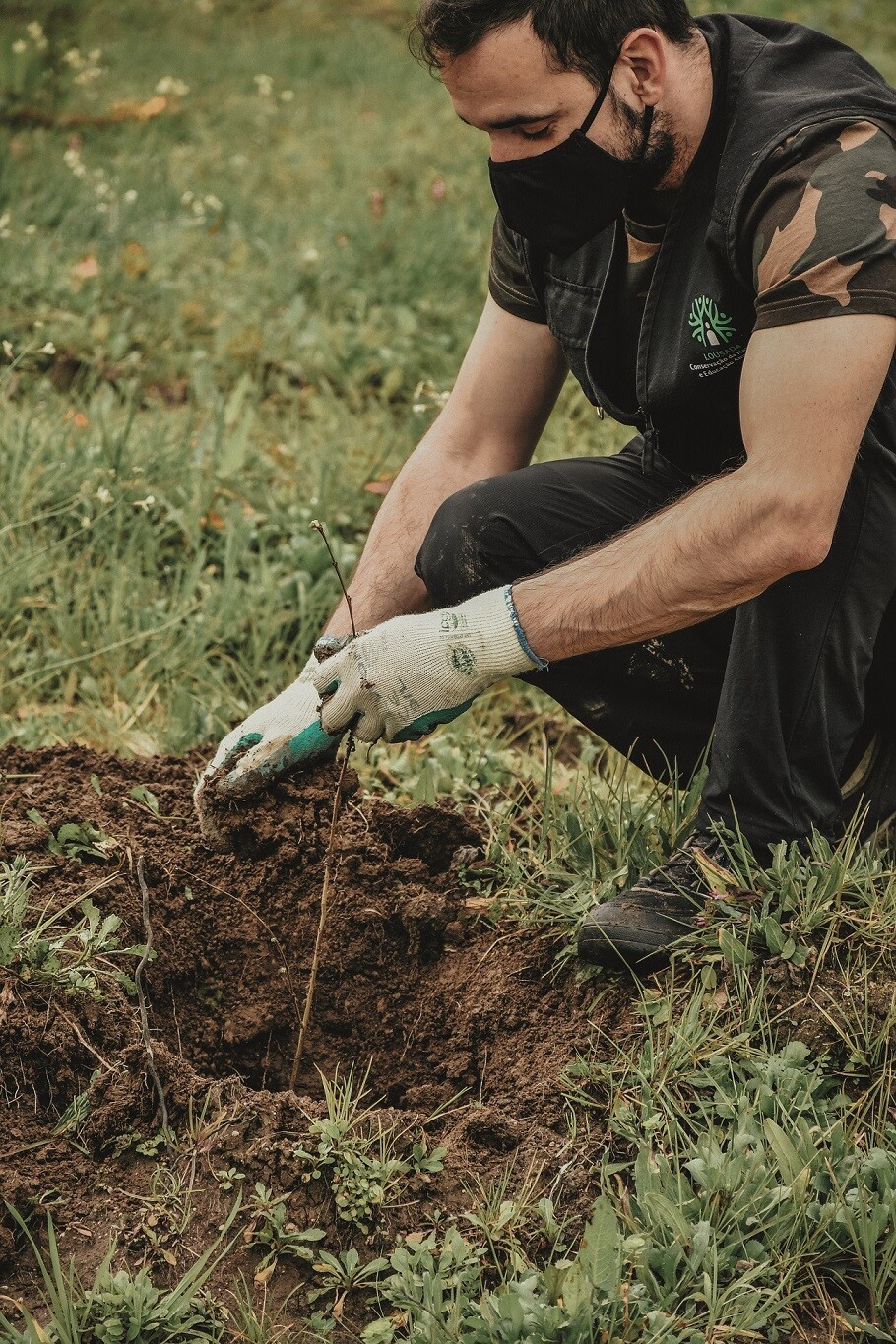 Plantar Lousada com 65 mil árvores