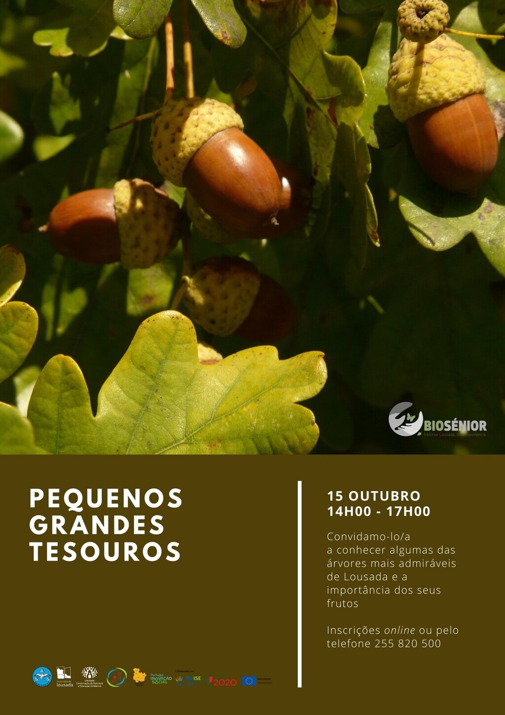 BioSénior e as Gigantes Verdes