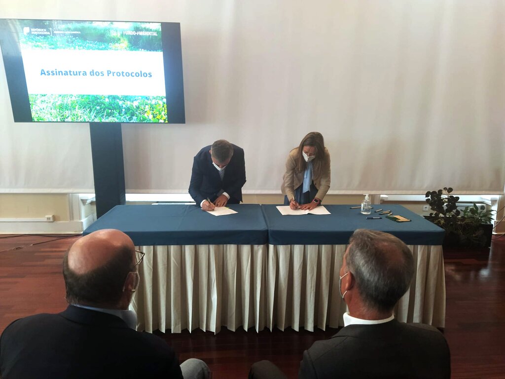 Assinatura de protocolo para Controlo da Invasora Cortaderia