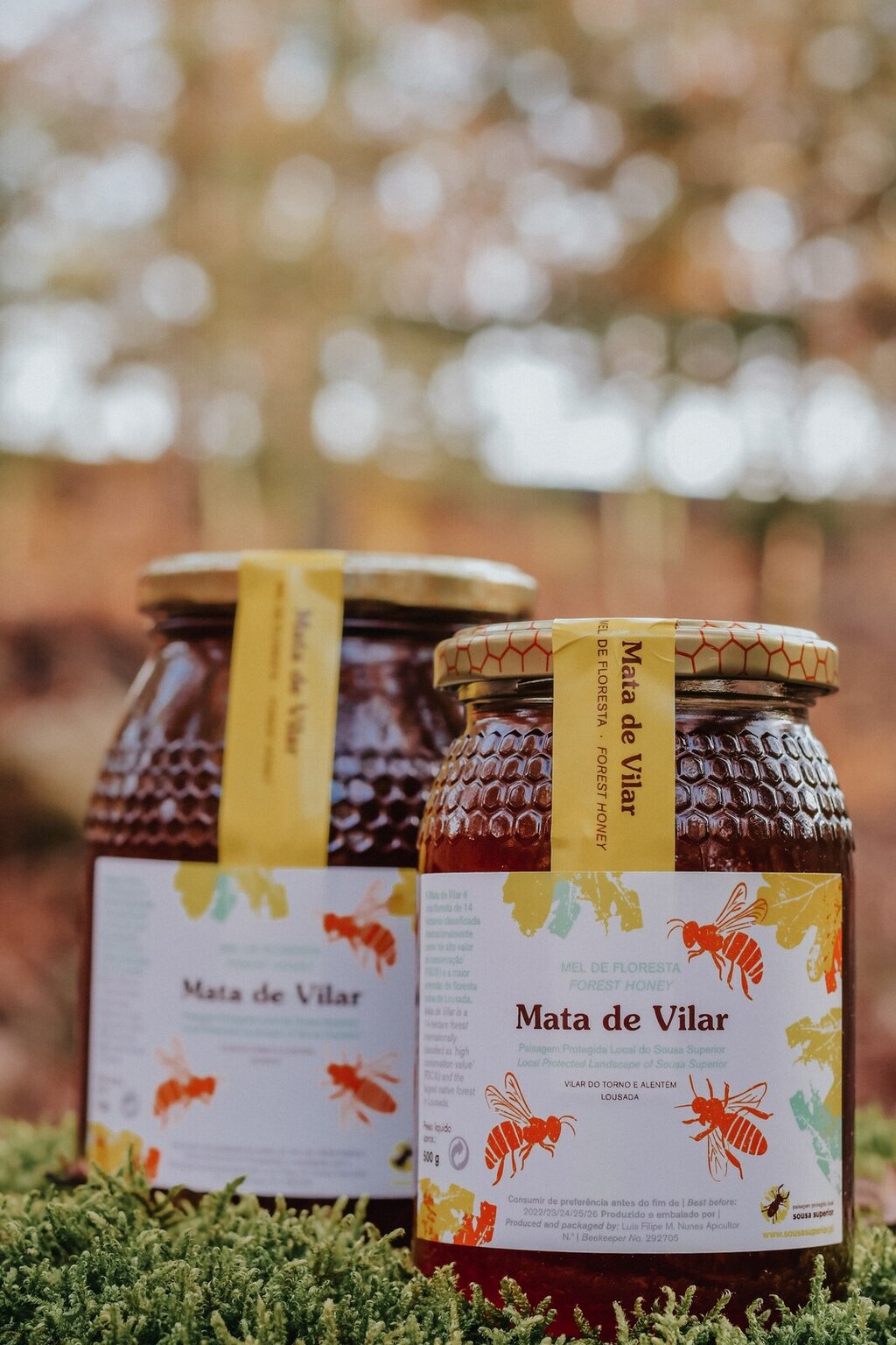 Mel de Floresta promove Paisagem Protegida