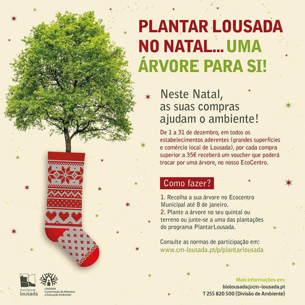 Plantar Lousada no Natal e no Quintal