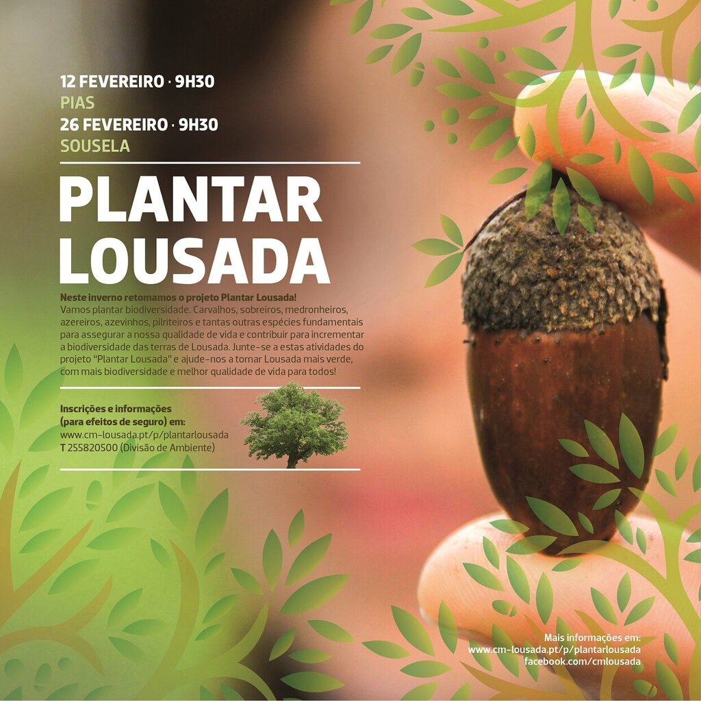 Plantar Lousada em Pias