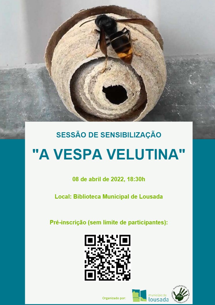 Sensibilização sobre a Vespa-asiática