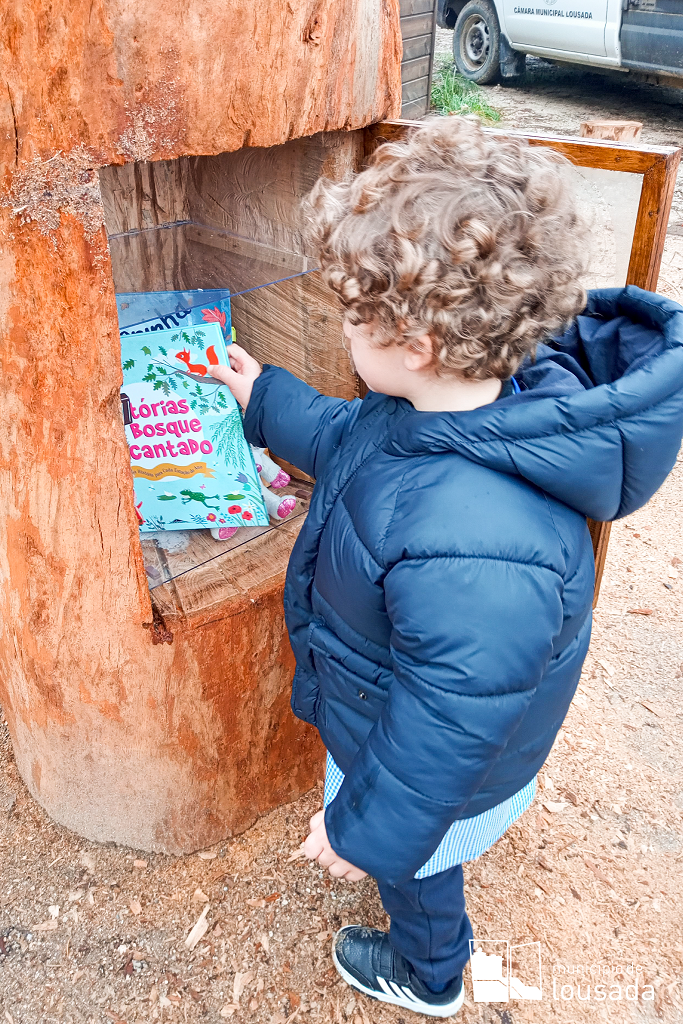 Biblioárvore na Mata de Vilar