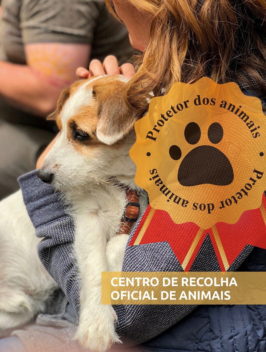 CROA com aumento do número de adoções